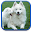 Puppies Live Wallpaper Download on Windows