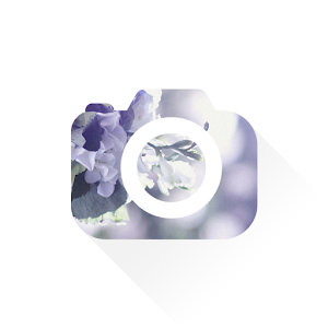 올댓스튜디오 - 결혼,웨딩 촬영,웨딩스튜디오의 모든 것.apk 0.9.8