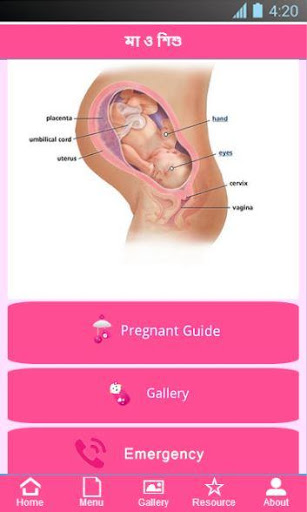 Ma o Shishu Pregnancy Guide