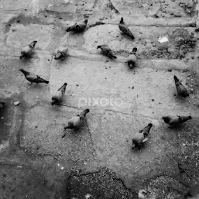 by Rahul Joshi - Instagram & Mobile Android