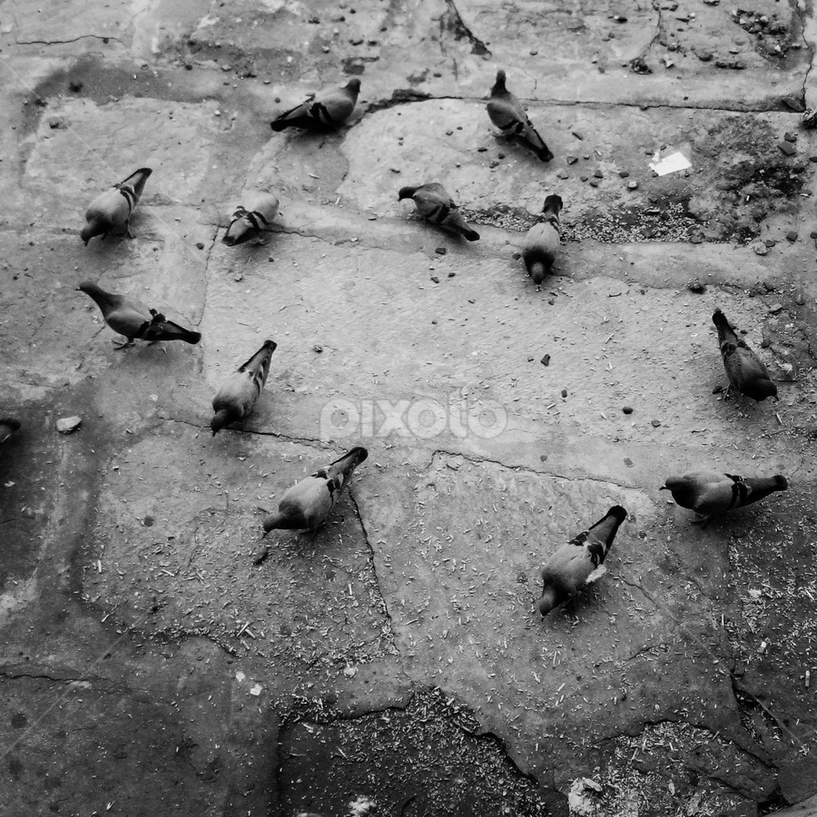 by Rahul Joshi - Instagram & Mobile Android