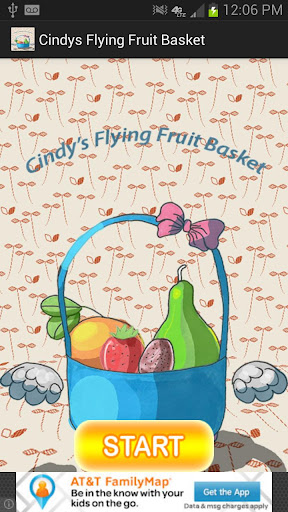 Cindys Flying Fruit Basket