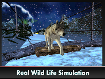 Wild Wolf - 3D Run poster 6