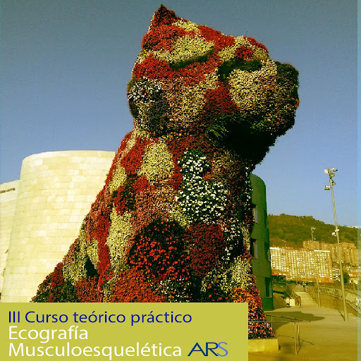 Curso Ecografia ARS