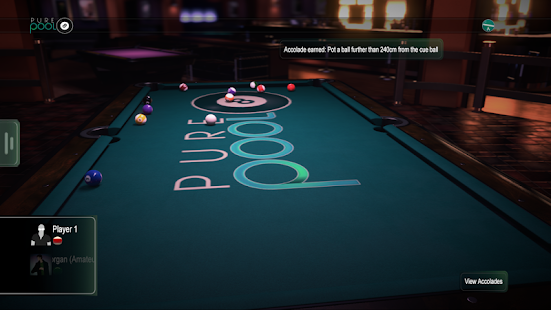  Pure Pool  