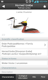 Birds of Korea Pro poster 4