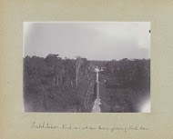 Kabelstation Noord van uit den toren gezien (Noord-toren)