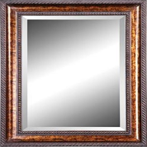 Pocket Mirror Pro 1.1