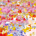 flower livewall logo