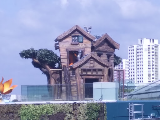 Tree Top House