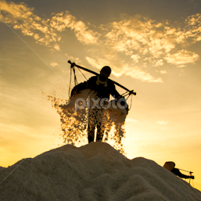 Công việc đồng Muối by Han Duy - People Professional People