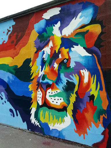 The Lion Rainbow