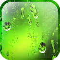Nexus After Rain icon