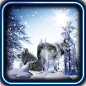 Snow Wolf HD live wallpaper icon