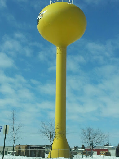 Algoma Water Tower