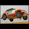 Rally illustrated logo