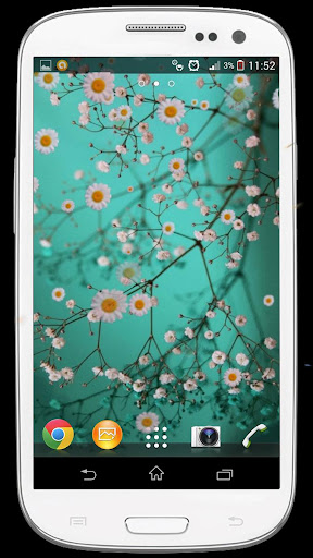 Falling Sakura Live Wallpaper