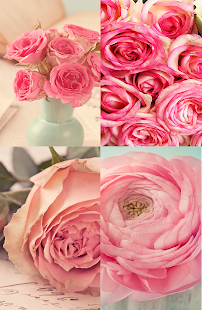 How to install Flower  wallpaper 1.0 apk for android