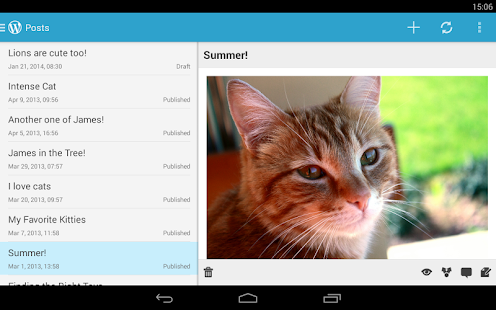 WordPress - screenshot thumbnail