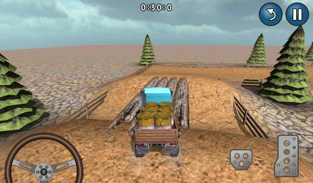 Truck Delivery 3D - screenshot