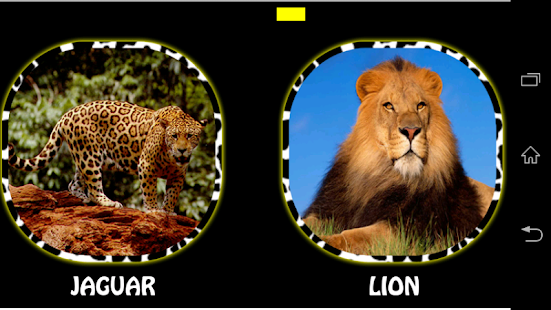 How to get Animal Sounds 1.1.0 mod apk for laptop
