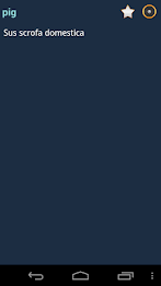 English Multiple Languages poster 3