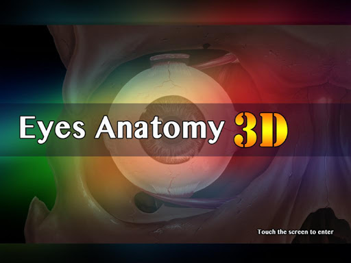 Eyes Anatomy 3D