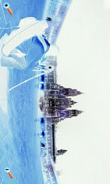 Night Vision Camera by Dexati poster 1