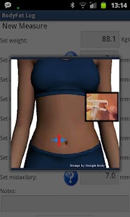 How to download BodyFat Log lastet apk for pc