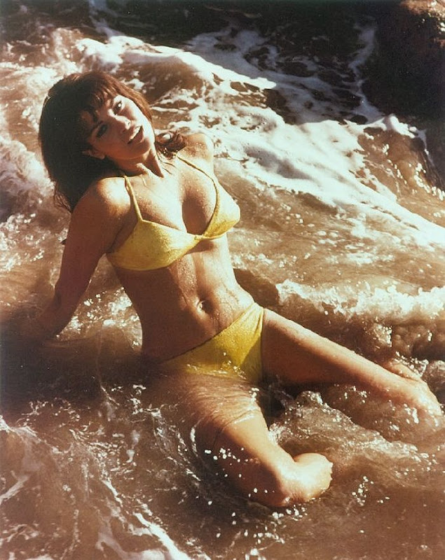 The Sexy Miss Raquel Welch