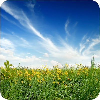 Beautiful Nature Wallpapers For Android