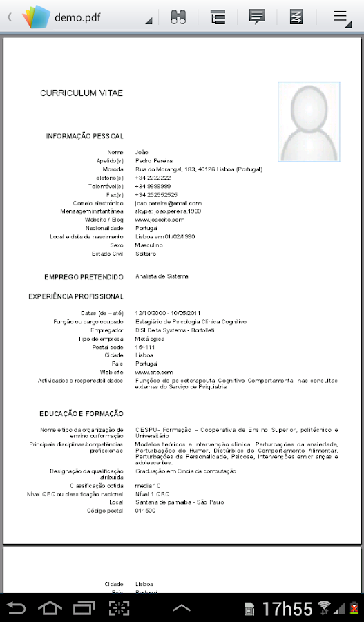 Plantilla Curriculum Europeo