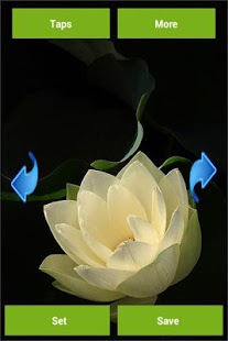 How to mod Flowers Wallpapers 2.0.0 mod apk for bluestacks