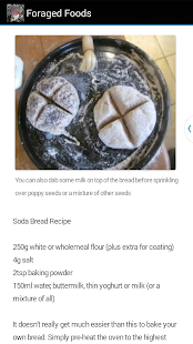 Lastest Foraged Foods - Foraging App APK for Android