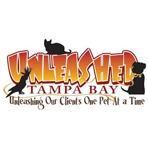 Unleashed Tampa Bay 1.302