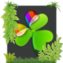Nature Zen Theme Go Lancher Ex