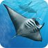 Ocean Dream1.0