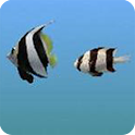 Keeping Fish