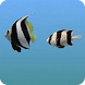 Keeping Fish