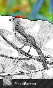 Sketch Guru - screenshot thumbnail