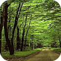 Green Scenery LWP logo
