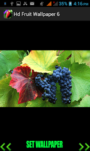 How to install Hd Fruit Wallpaper patch 1.0 apk for laptop