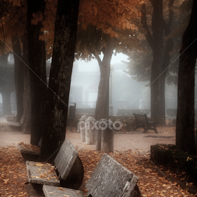 Dreamy Autumn by Astrid Pardew - City,  Street & Park City Parks