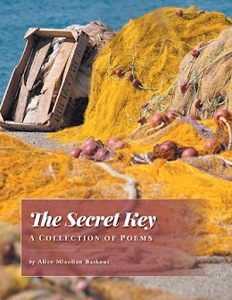 The Secret Key cover