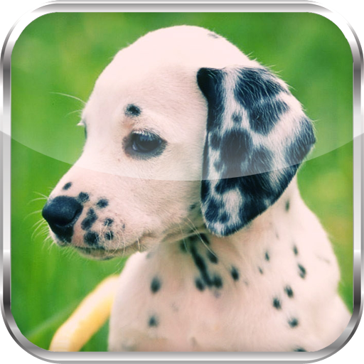 Purebred Dog Wallpaper LOGO-APP點子