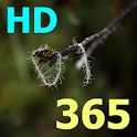 Bible Verse 365 HD logo