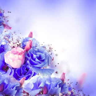 How to mod Dream spring flower lwp lastet apk for laptop