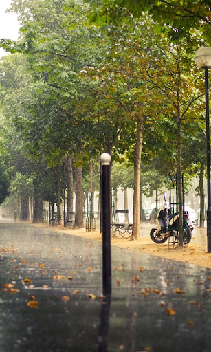 Rainy Paris Live Wallpaper