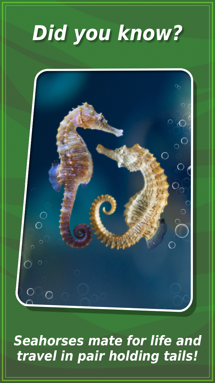 Quiz Me - What Animal Am I? Screen 2