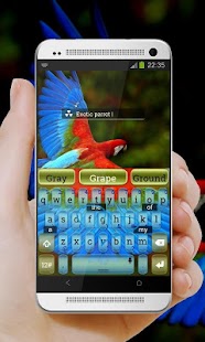 Rio Colors TouchPal Theme Screenshots 13